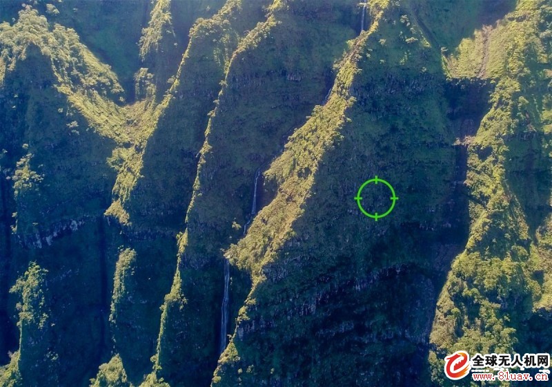 无人机飞越夏威夷悬崖峭壁　寻获绝种植物