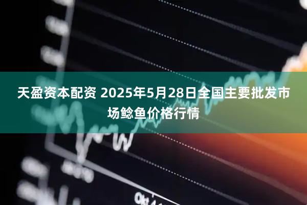 天盈资本配资 2025年5月28日全国主要批发市场鲶鱼价格行情