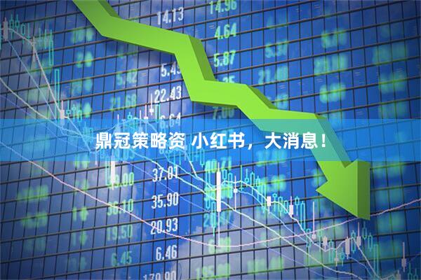 鼎冠策略资 小红书，大消息！