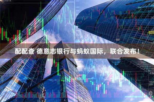 配配查 德意志银行与蚂蚁国际，联合发布！